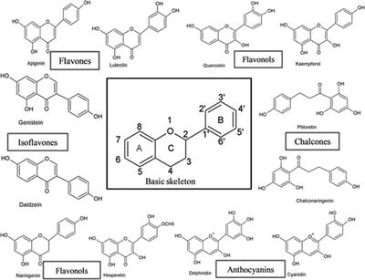 Herbal Plants: The Role of AhR in Mediating Immunomodulation